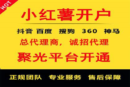 信息流代理的运作模式与成功案例分析